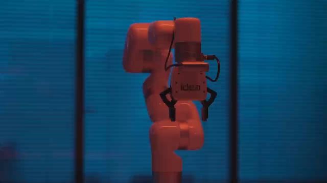 DINO-XGrasp at IDEA Day